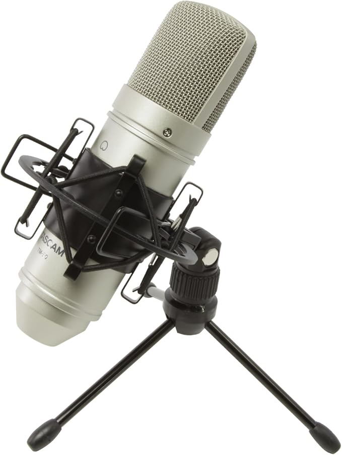 Tascam TM-80